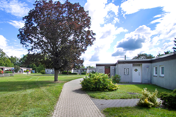Gepflegte Grünanlage mit Gehweg, Bungalows und einem großen Baum unter blauem Himmel.